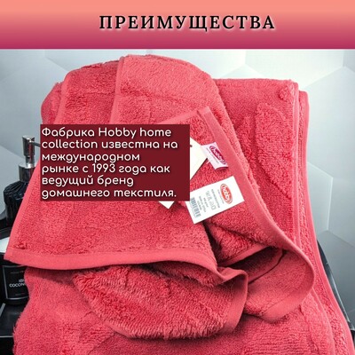 Hobby Home    HOBBY HOME, Estela, 70140 , ,  100%,  (,  5)