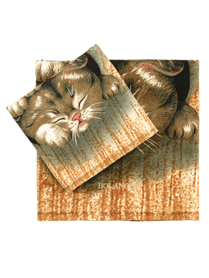 BOLANGDE Полотенце Япония КОТЯТА 100х150 сауна 2017 КОРИЧНЕВЫЙ (вид 2) BOLANGDE Полотенце Япония КОТЯТА 100х150 сауна 2017 КОРИЧНЕВЫЙ (фото, вид 2)