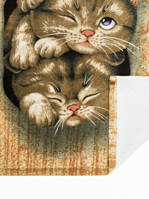 BOLANGDE Подарочный набор Котята 70х140 + 50х90 (вид 1) BOLANGDE Подарочный набор Котята 70х140 + 50х90 (фото, вид 1)