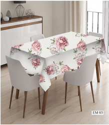 EforHome  EFOR   160*220  EM03