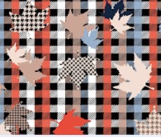 EforHome  EFOR  160*180  EM62V2