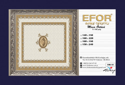 EforHome  EFOR  160*220  EM65 V1 