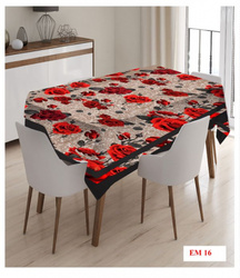 EforHome  EFOR   160*220  EM16